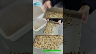 DGP-85 Fish Feed Pellet Production Line | Introduction & Full Process Demo#fishfeedproductionline