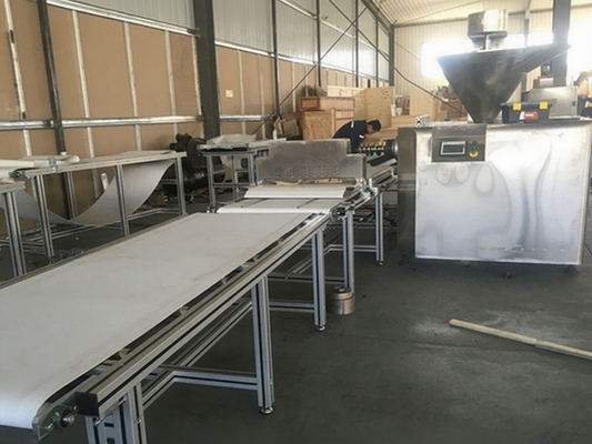 Meat Strip Making Machine for Jerky Sticks Dog Treats Beef Meat Chew Snack