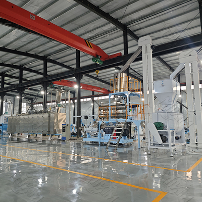 CE Certificate Large Capacity Pet Food Line Twin Screw Extruder