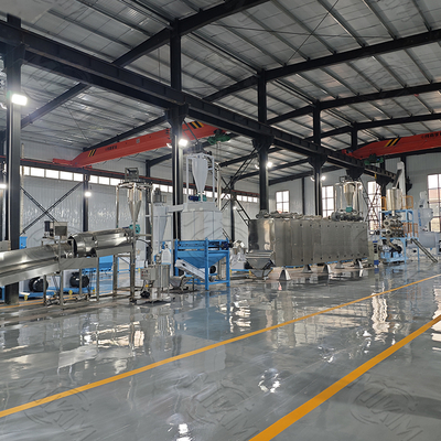 CE Certificate Large Capacity Pet Food Line Twin Screw Extruder