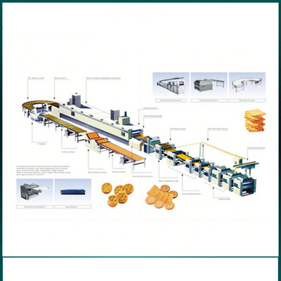 Automatic Pet Food Extruder various mold shape stainless steel biscuit production line