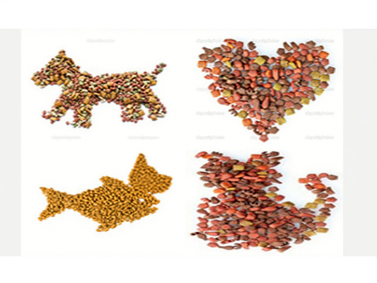 Professional Pet Food Extruder / Twin Screw Extruder FOR Dog , Cat , Fish