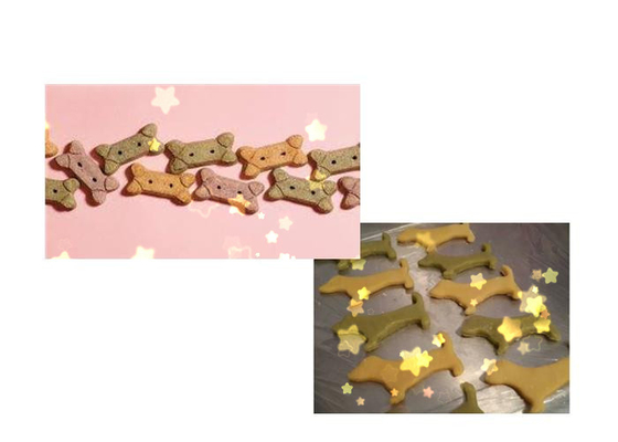 DR -280 Stainless Steel Colored Dog Biscuit Making Machine With Stable Performance