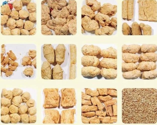 Textured Fiber Vegetarian Snack Food Extruder Process Line,Unique Design,5-stars services