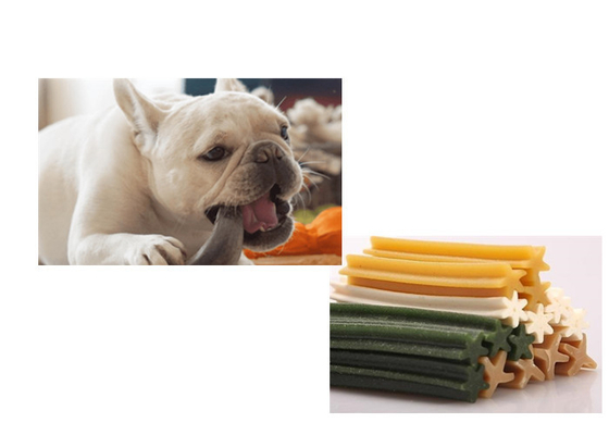 Single Color Treats Chewing Gum Dog Food Maker Machine Pet Treats Equipment