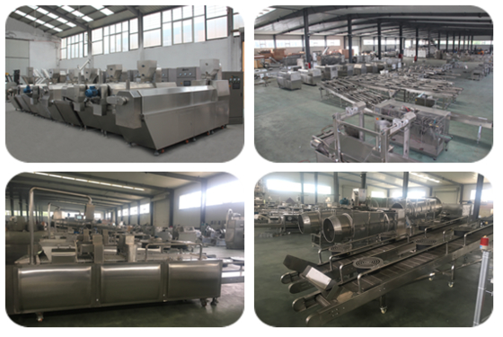 Stainless Steel Jerky Pet Food Production Line 300-500kg/Hr