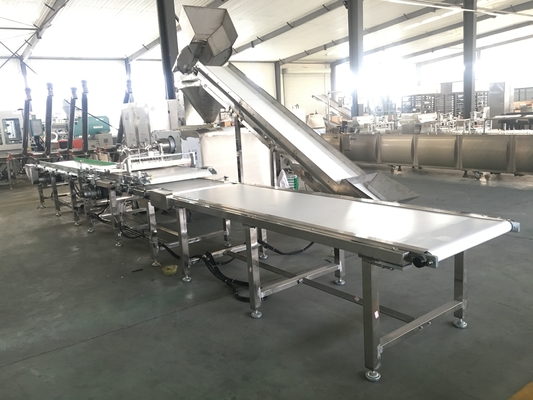 Jerky Treats Dog Food Extruding Line