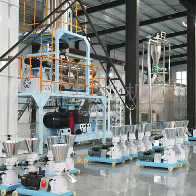 Sinking Floating Aquarium Fish Feed Manufacturing Equipment Plant Chicken Bird Animal Feed Processing Machine Line Pig Cat Dog Pet Food Pellet Making Machinery