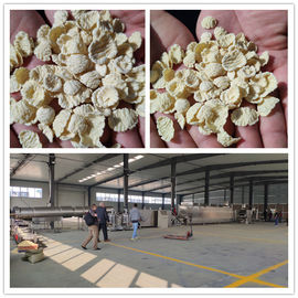 Kellog Crispy Cereal Corn Flakes Processing Line / Corn Flakes Production Line